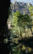 West Fork of Oak Creek - Sedona, AZ