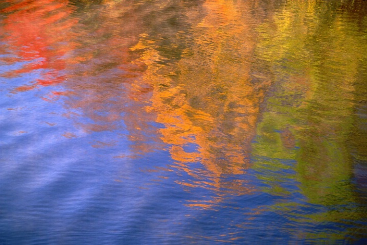 Fall at the Loch