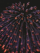 Tips on Photographing Fireworks