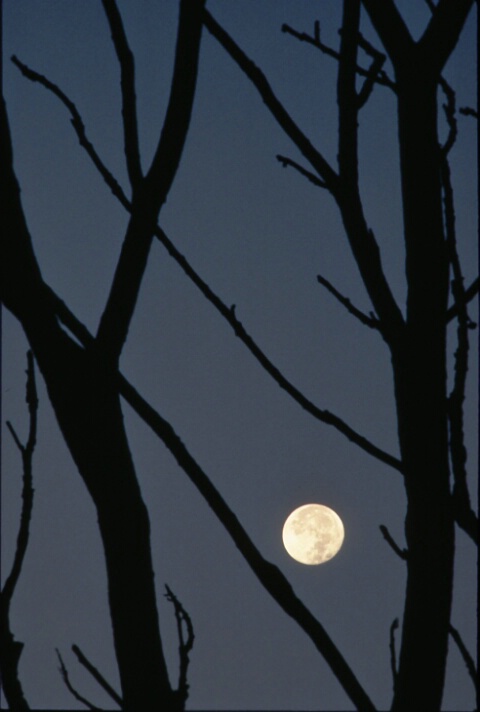 020405131503moon_frame.jpg