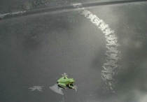 Frog Art