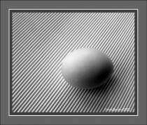egg