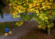 Autumn biker