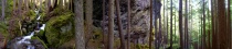 Constance Lake Trail