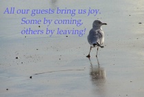 Joy of Guests