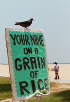 A Bird-Brained Idea?