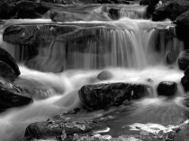 Multi-Flow