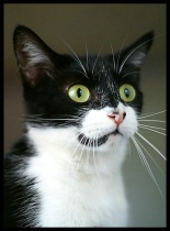 Bird Watching