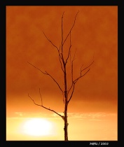 Summer sun