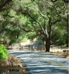 Down The Road
