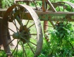 John Deer