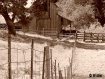 The Barn