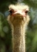 Jurong Bird Park,...