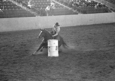 B&W Barrel Racer