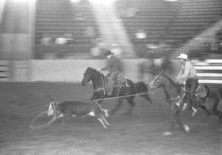 Rodeo Ropers