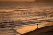 Evening Walk