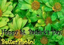 The Luck of the Irish to You!