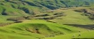 Rolling Pastures