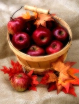 Autumn Harvest