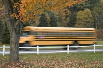 Take Pictures of Everyday Subjects, Too