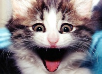 FREAKED!!!