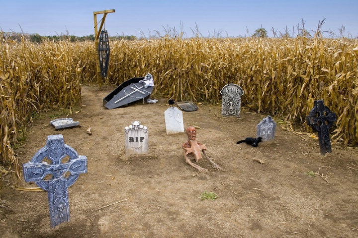 Feild of Screams