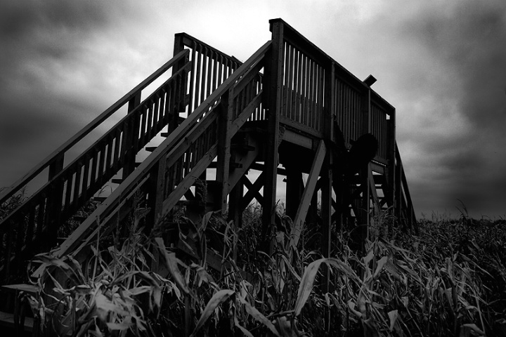A Bridge Uncrossed