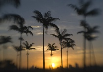 Join 's Course: 4-Week Short Course: Mastering the Nikon D200 and D2X/D2Xs