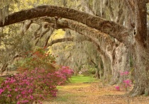 Join 's Course: 4-Week Short Course: Mastering the Nikon D2X/D2Xs
