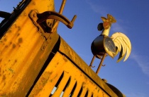 AFTER 2:<br>Same Rooster,<br>Different Truck