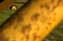 Focus on Distant Subject