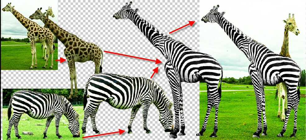 The How To thingy