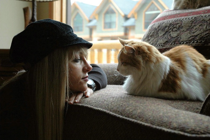 Feline Fondess