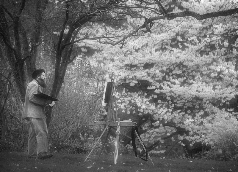 The Painter