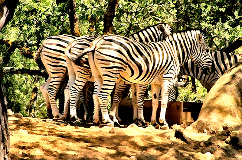 Union of Stripes