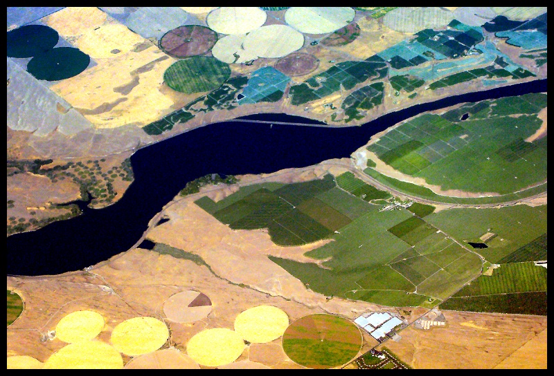 CROP CIRCLES AND TIDDLYWINKS