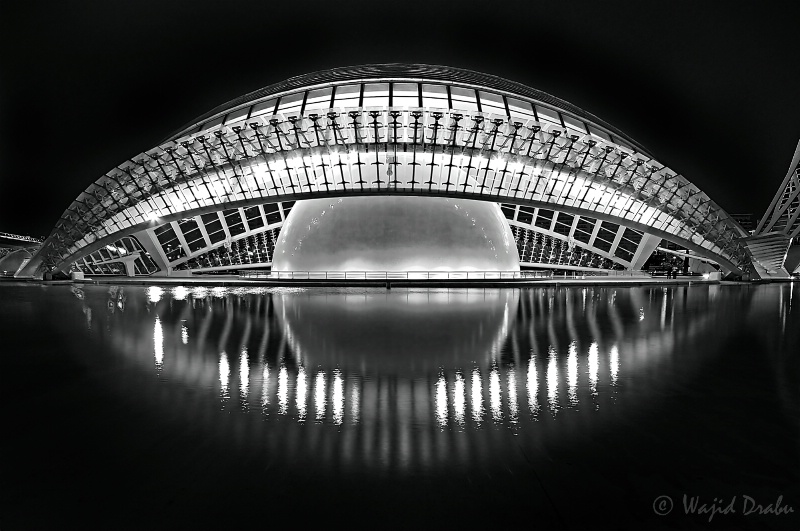 The Eye