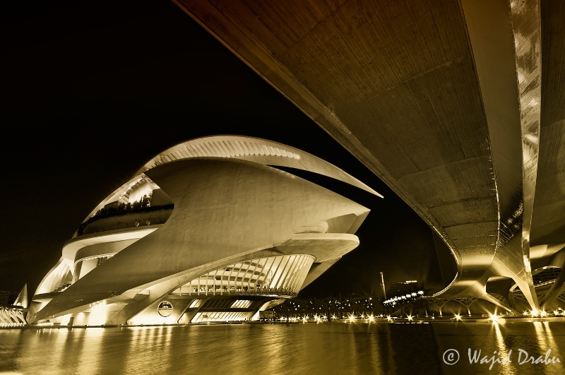 Palau de les Arts Reina Sofia