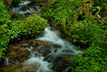 Squaw Creek