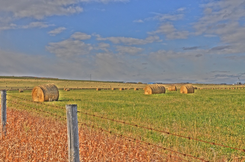 Harvest