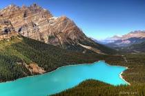 Beautiful Peyto Lake