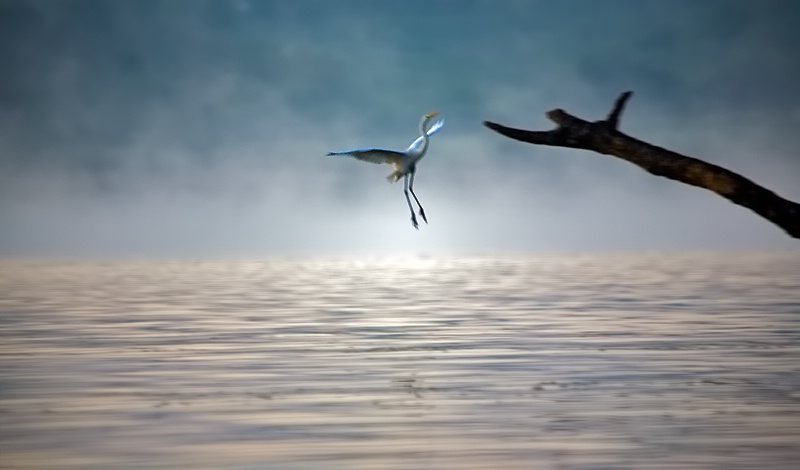 On a Misty Morning