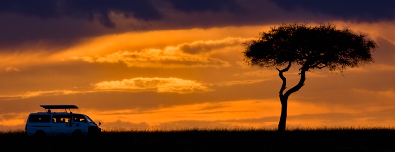 Sunset Safari
