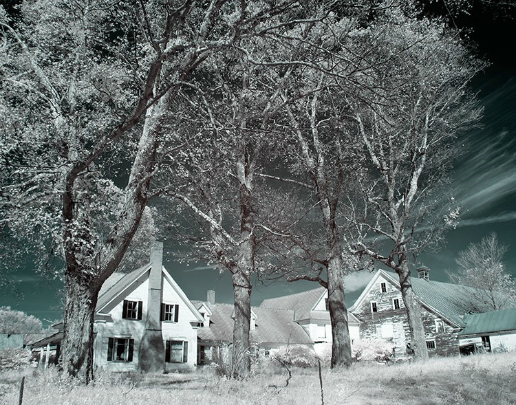 The Marker Trees Remember