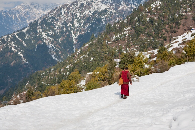 The Monk in Mcleodganj