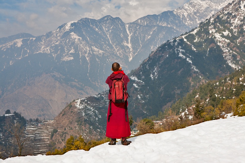 The Monk in Mcleodganj