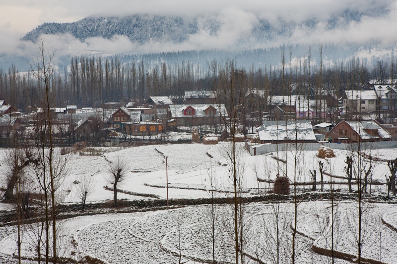 Wintry Landscape