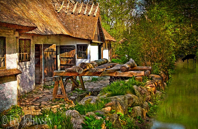Gallery Photo