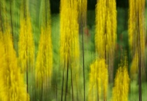Join 's Course: 2-Week Short Course: A Quick Start to Adding More 'Pop' to Your Images