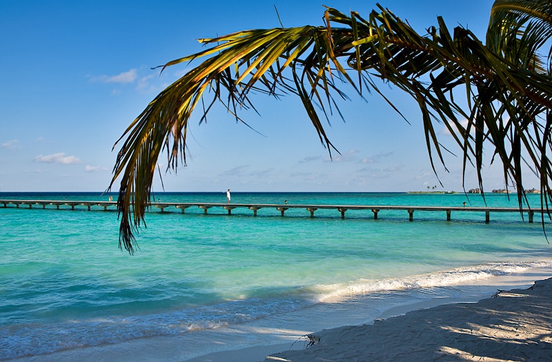 Island in the Sun